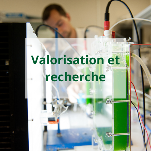 Valorisation et Recherche